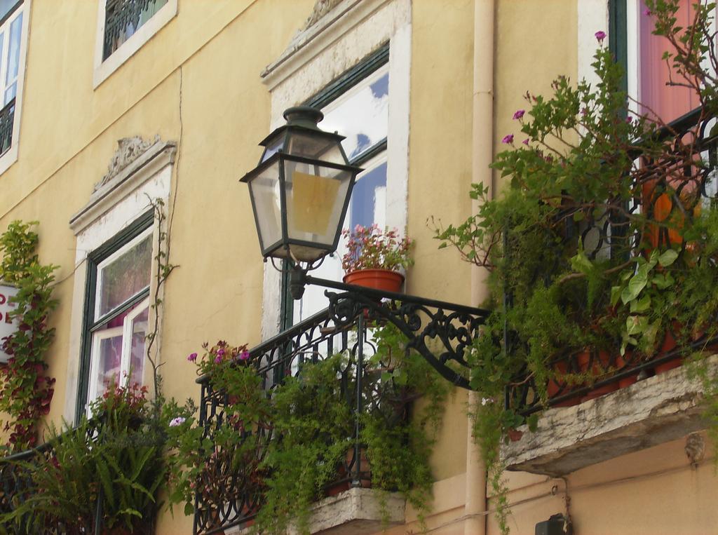 Dias E Dominguez Hostel Lisboa Ngoại thất bức ảnh